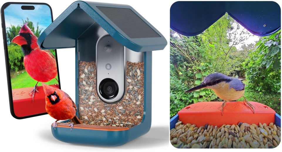 Birdbuddy PRO Solar Smart Bird Feeder
